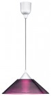 Потолочный подвесной светильник TRIO 301400192